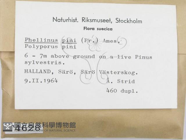 登錄號:F0004628藏品圖，第2張