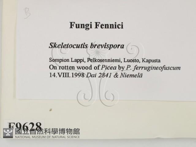 登錄號:F0009628藏品圖，第2張