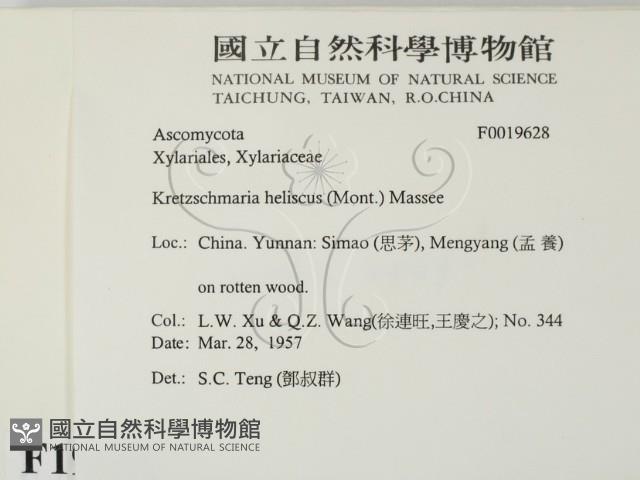 登錄號:F0019628藏品圖，第2張