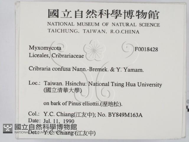 登錄號:F0018428藏品圖，第2張