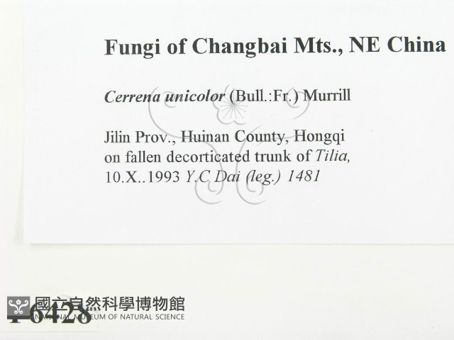 登錄號:F0006428藏品圖，第2張