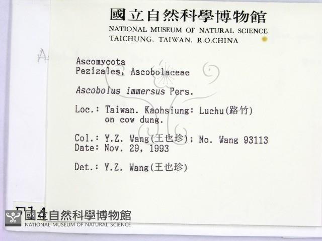 登錄號:F0001428藏品圖，第2張