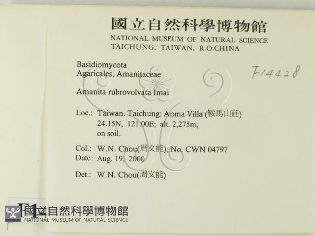 登錄號:F0014428藏品圖，第2張