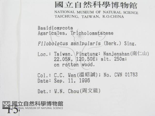 登錄號:F0005428藏品圖，第2張