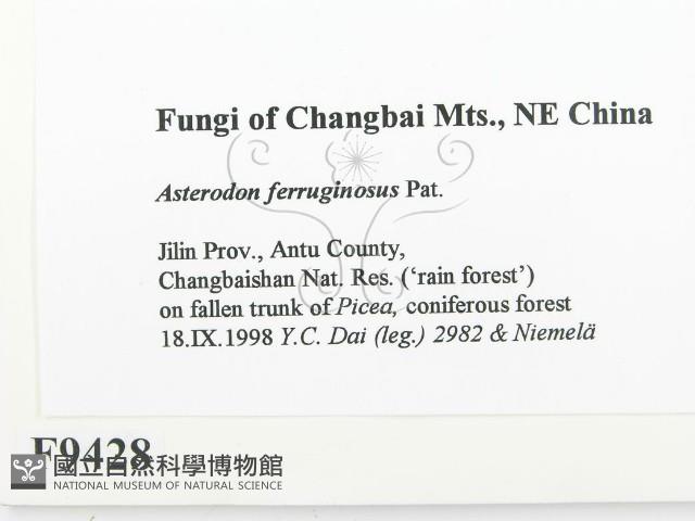 登錄號:F0009428藏品圖，第2張