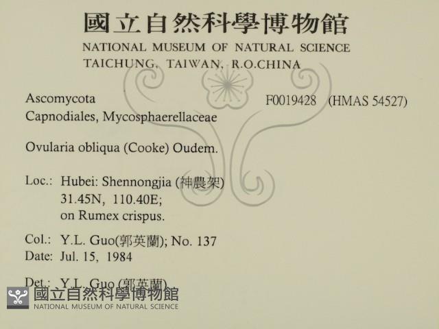 館號:F0019428藏品圖，第2張