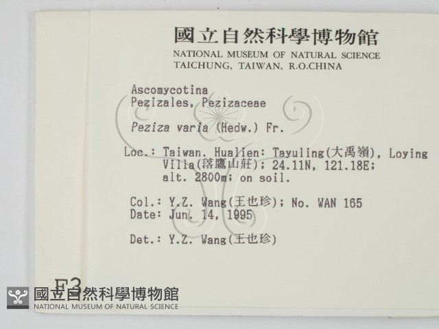 登錄號:F0003428藏品圖，第2張