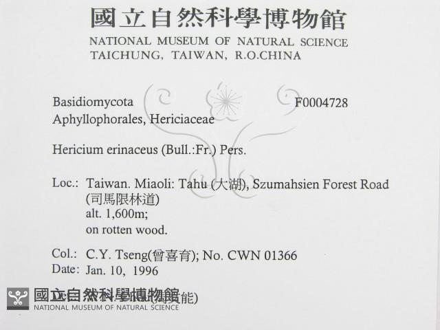 登錄號:F0004728藏品圖，第2張