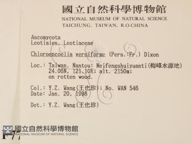 登錄號:F0007728藏品圖，第2張