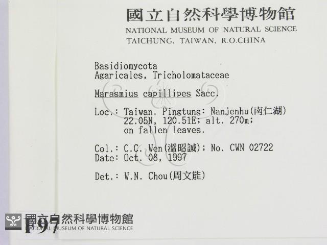 登錄號:F0009728藏品圖，第2張