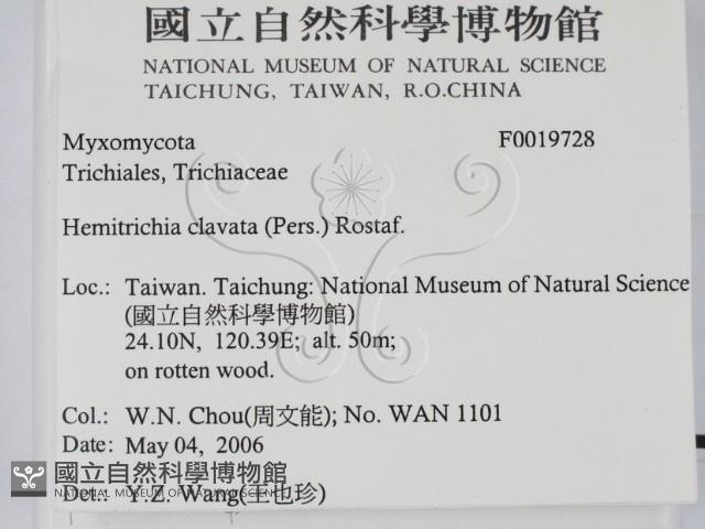 登錄號:F0019728藏品圖，第2張
