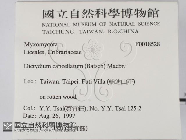 登錄號:F0018528藏品圖，第2張