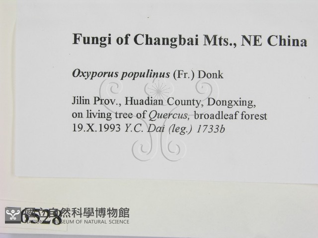 登錄號:F0006528藏品圖，第2張