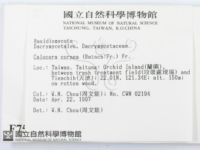 登錄號:F0007528藏品圖，第2張
