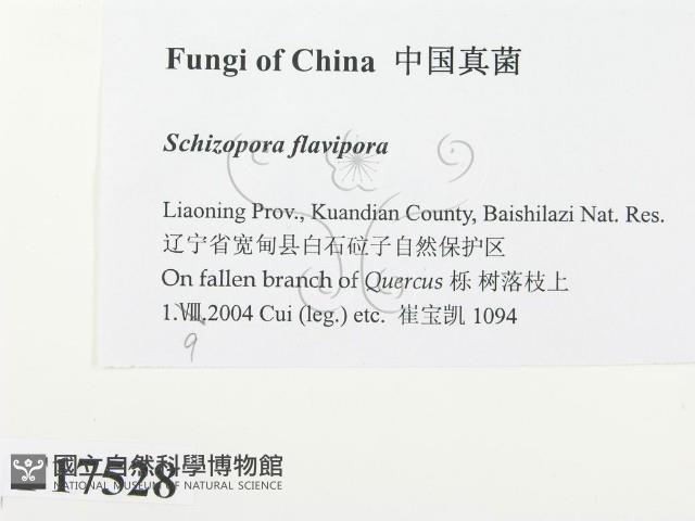 登錄號:F0017528藏品圖，第2張