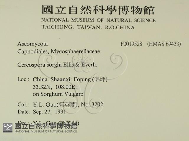 登錄號:F0019528藏品圖，第2張