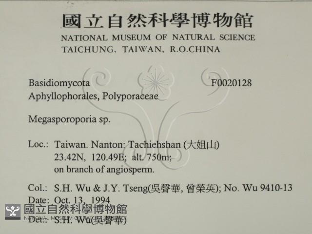 登錄號:F0020128藏品圖，第2張