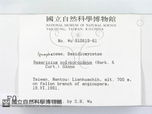 登錄號:F0000128藏品圖，第2張