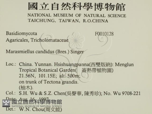 登錄號:F0010128藏品圖，第2張