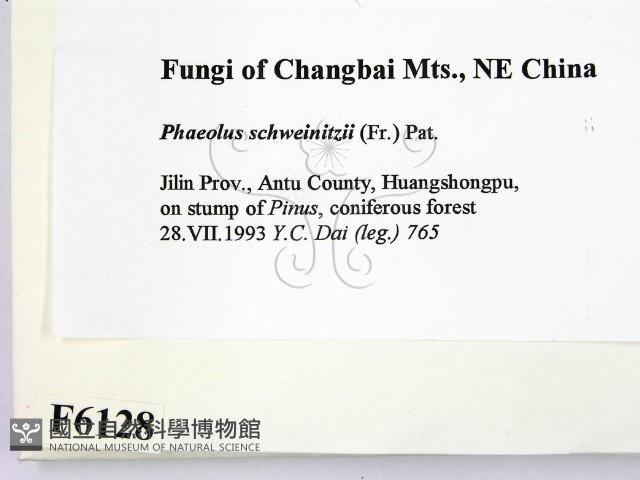 登錄號:F0006128藏品圖，第2張