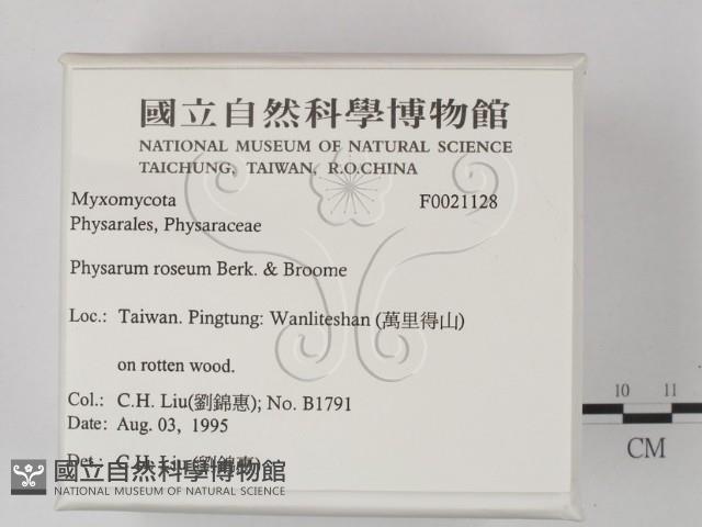 登錄號:F0021128藏品圖，第2張