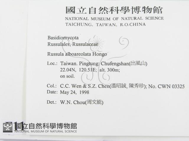 登錄號:F0011128藏品圖，第2張