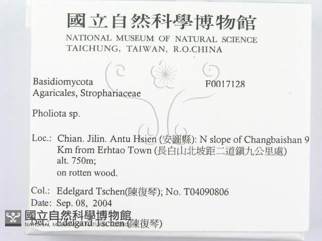 登錄號:F0017128藏品圖，第2張