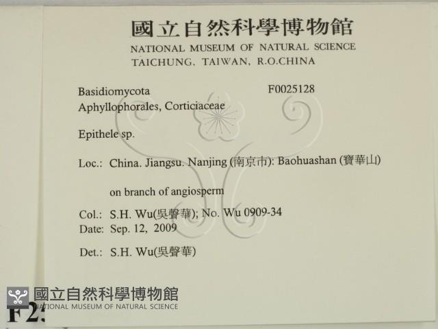 登錄號:F0025128藏品圖，第2張