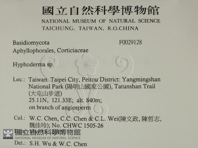 絲皮菌屬藏品圖，第2張