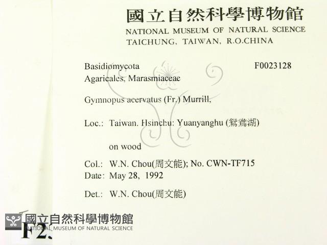 登錄號:F0023128藏品圖，第2張