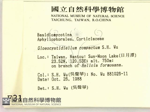 登錄號:F0003128藏品圖，第2張