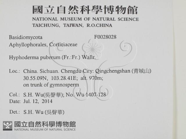 登錄號:F0028028藏品圖，第2張