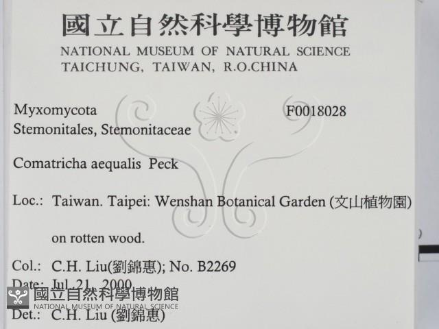 登錄號:F0018028藏品圖，第2張