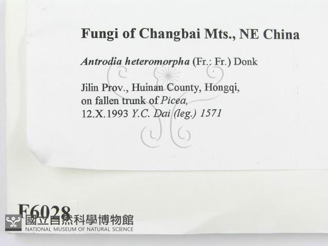 登錄號:F0006028藏品圖，第2張