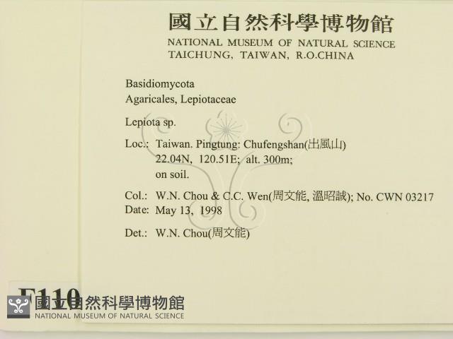 登錄號:F0011028藏品圖，第2張