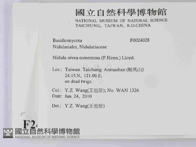 登錄號:F0024028藏品圖，第2張