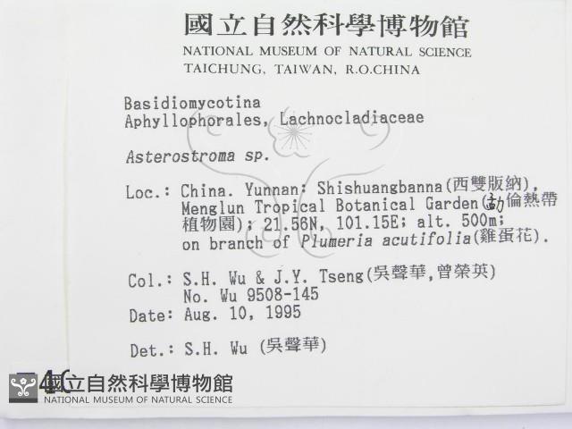 登錄號:F0004028藏品圖，第2張