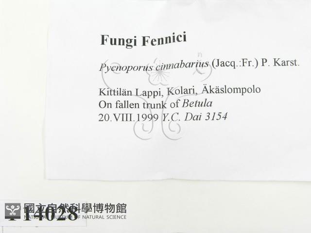 登錄號:F0014028藏品圖，第2張