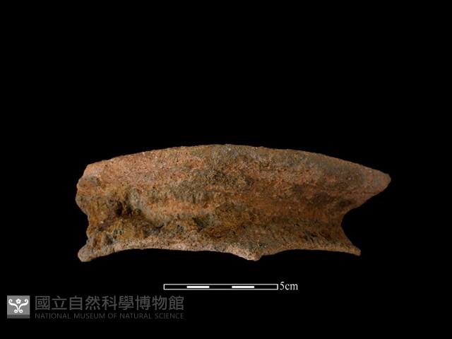 陶罐藏品圖，第1張