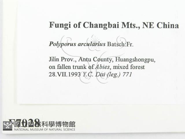 登錄號:F0007028藏品圖，第2張