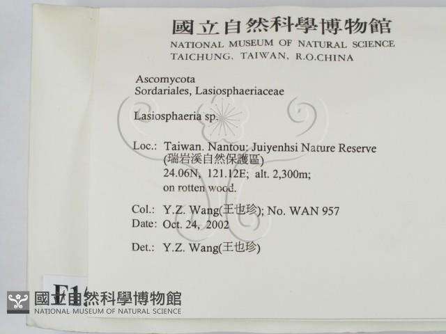 登錄號:F0015028藏品圖，第2張