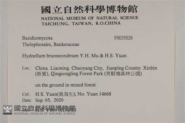 登錄號:F0035028藏品圖，第2張