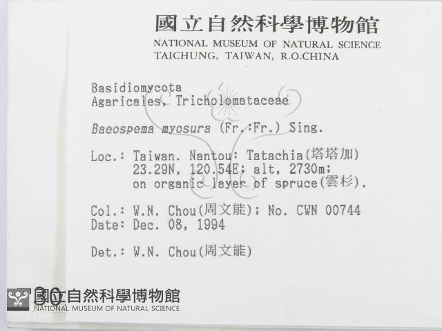 登錄號:F0003028藏品圖，第2張