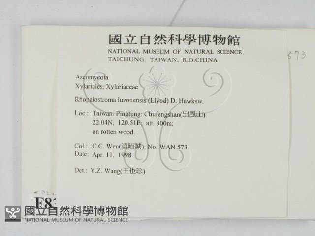 登錄號:F0008328藏品圖，第2張