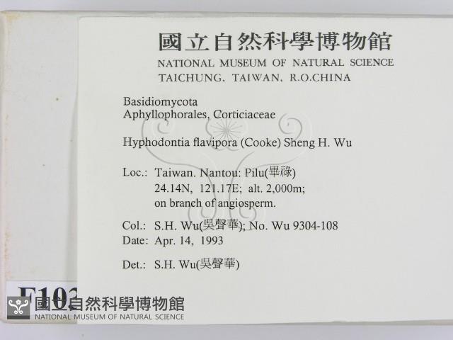 登錄號:F0010328藏品圖，第2張