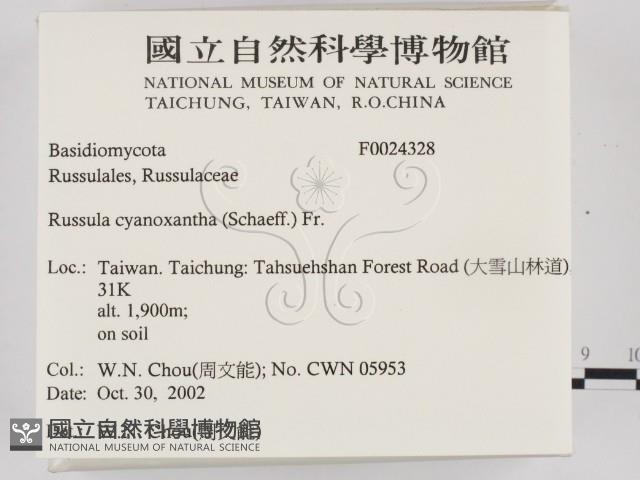 登錄號:F0024328藏品圖，第2張