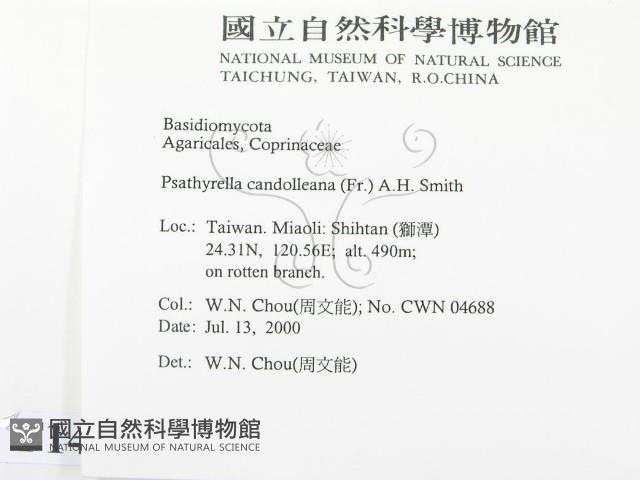 登錄號:F0014328藏品圖，第2張