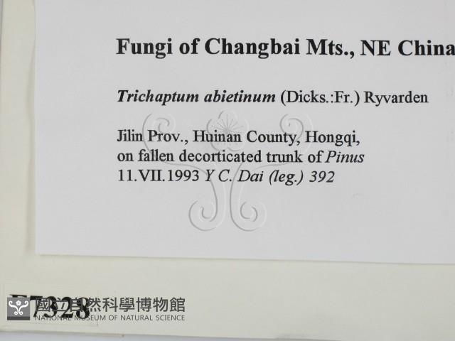 登錄號:F0007328藏品圖，第2張