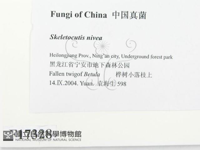 登錄號:F0017328藏品圖，第2張