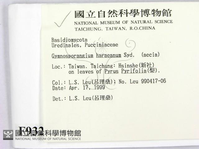 登錄號:F0009328藏品圖，第2張